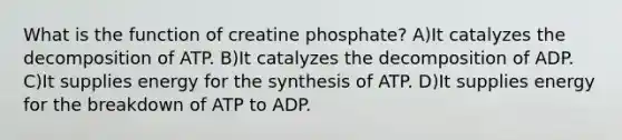 What is the function of creatine phosphate? A)It catalyzes the decomposition of ATP. B)It catalyzes the decomposition of ADP. C)It supplies energy for the synthesis of ATP. D)It supplies energy for the breakdown of ATP to ADP.