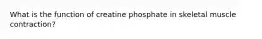 What is the function of creatine phosphate in skeletal muscle contraction?