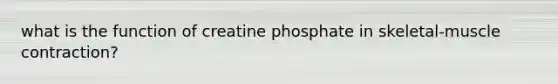 what is the function of creatine phosphate in skeletal-muscle contraction?