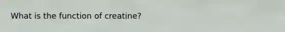 What is the function of creatine?