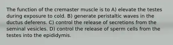 The function of the cremaster muscle is to A) elevate the testes during exposure to cold. B) generate peristaltic waves in the ductus deferens. C) control the release of secretions from the seminal vesicles. D) control the release of sperm cells from the testes into the epididymis.