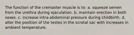 The function of the cremaster muscle is to: a. squeeze semen from the urethra during ejaculation. b. maintain erection in both sexes. c. increase intra-abdominal pressure during childbirth. d. alter the position of the testes in the scrotal sac with increases in ambient temperature.