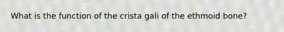 What is the function of the crista gali of the ethmoid bone?