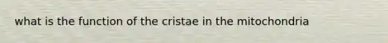 what is the function of the cristae in the mitochondria