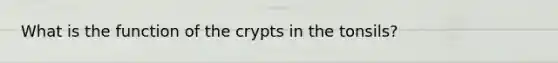 What is the function of the crypts in the tonsils?