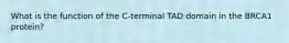 What is the function of the C-terminal TAD domain in the BRCA1 protein?