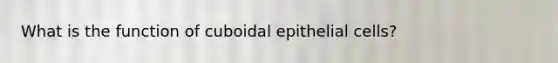 What is the function of cuboidal epithelial cells?