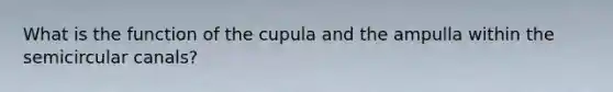 What is the function of the cupula and the ampulla within the semicircular canals?