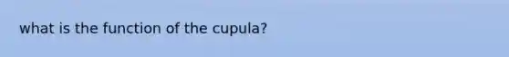 what is the function of the cupula?