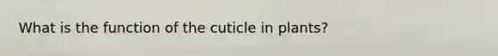 What is the function of the cuticle in plants?