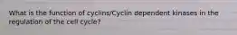 What is the function of cyclins/Cyclin dependent kinases in the regulation of the cell cycle?