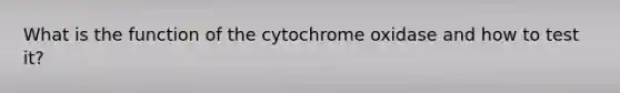 What is the function of the cytochrome oxidase and how to test it?