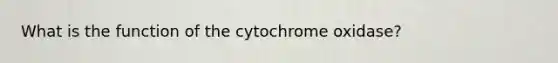 What is the function of the cytochrome oxidase?