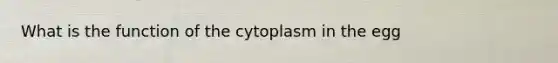 What is the function of the cytoplasm in the egg