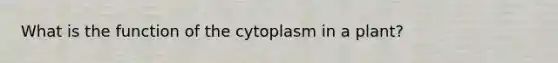 What is the function of the cytoplasm in a plant?