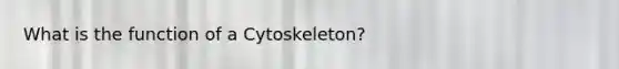 What is the function of a Cytoskeleton?
