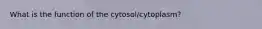 What is the function of the cytosol/cytoplasm?