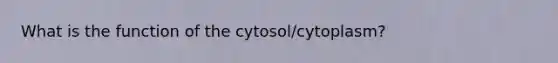 What is the function of the cytosol/cytoplasm?