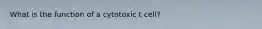 What is the function of a cytotoxic t cell?