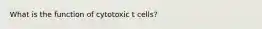 What is the function of cytotoxic t cells?