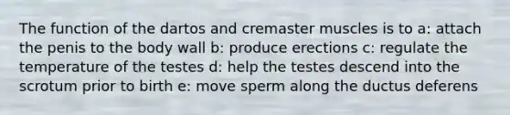 The function of the dartos and cremaster muscles is to a: attach the penis to the body wall b: produce erections c: regulate the temperature of the testes d: help the testes descend into the scrotum prior to birth e: move sperm along the ductus deferens