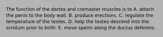 The function of the dartos and cremaster muscles is to A. attach the penis to the body wall. B. produce erections. C. regulate the temperature of the testes. D. help the testes descend into the scrotum prior to birth. E. move sperm along the ductus deferens.