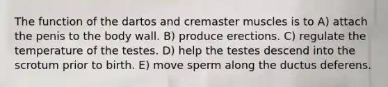 The function of the dartos and cremaster muscles is to A) attach the penis to the body wall. B) produce erections. C) regulate the temperature of the testes. D) help the testes descend into the scrotum prior to birth. E) move sperm along the ductus deferens.