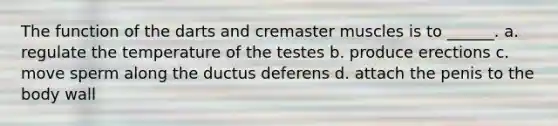 The function of the darts and cremaster muscles is to ______. a. regulate the temperature of the testes b. produce erections c. move sperm along the ductus deferens d. attach the penis to the body wall