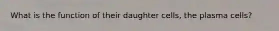 What is the function of their daughter cells, the plasma cells?