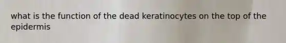 what is the function of the dead keratinocytes on the top of the epidermis