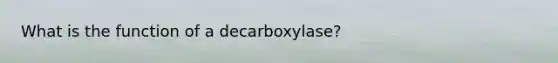 What is the function of a decarboxylase?