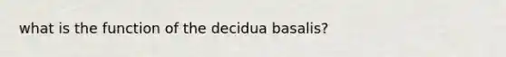 what is the function of the decidua basalis?