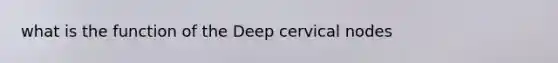 what is the function of the Deep cervical nodes