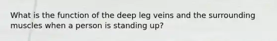 What is the function of the deep leg veins and the surrounding muscles when a person is standing up?