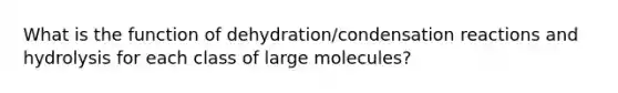 What is the function of dehydration/condensation reactions and hydrolysis for each class of large molecules?