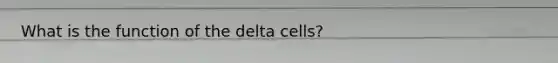 What is the function of the delta cells?