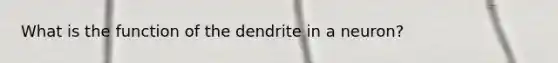 What is the function of the dendrite in a neuron?