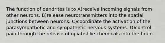 The function of dendrites is to A)receive incoming signals from other neurons. B)release neurotransmitters into the spatial junctions between neurons. C)coordinate the activation of the parasympathetic and sympathetic nervous systems. D)control pain through the release of opiate-like chemicals into the brain.