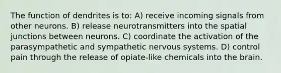 The function of dendrites is to: A) receive incoming signals from other neurons. B) release neurotransmitters into the spatial junctions between neurons. C) coordinate the activation of the parasympathetic and sympathetic nervous systems. D) control pain through the release of opiate-like chemicals into the brain.