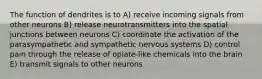 The function of dendrites is to A) receive incoming signals from other neurons B) release neurotransmitters into the spatial junctions between neurons C) coordinate the activation of the parasympathetic and sympathetic nervous systems D) control pain through the release of opiate-like chemicals into the brain E) transmit signals to other neurons