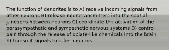 The function of dendrites is to A) receive incoming signals from other neurons B) release neurotransmitters into the spatial junctions between neurons C) coordinate the activation of the parasympathetic and sympathetic nervous systems D) control pain through the release of opiate-like chemicals into the brain E) transmit signals to other neurons