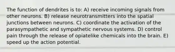 The function of dendrites is to: A) receive incoming signals from other neurons. B) release neurotransmitters into the spatial junctions between neurons. C) coordinate the activation of the parasympathetic and sympathetic nervous systems. D) control pain through the release of opiatelike chemicals into the brain. E) speed up the action potential.