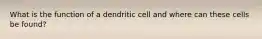 What is the function of a dendritic cell and where can these cells be found?