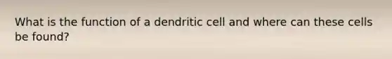 What is the function of a dendritic cell and where can these cells be found?