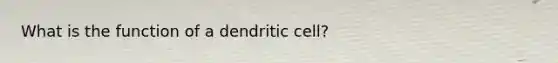 What is the function of a dendritic cell?