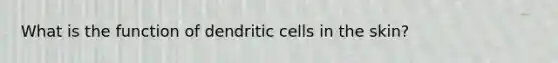 What is the function of dendritic cells in the skin?