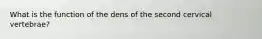 What is the function of the dens of the second cervical vertebrae?