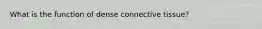 What is the function of dense connective tissue?