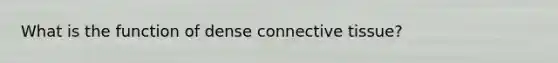 What is the function of dense connective tissue?