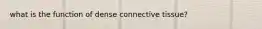 what is the function of dense connective tissue?
